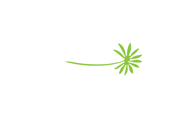 Pho_Spice_Client_List