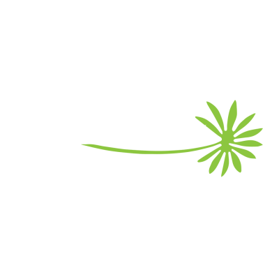 Pho and Spice