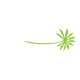 Pho & Spice