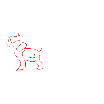 The Elephant Trail